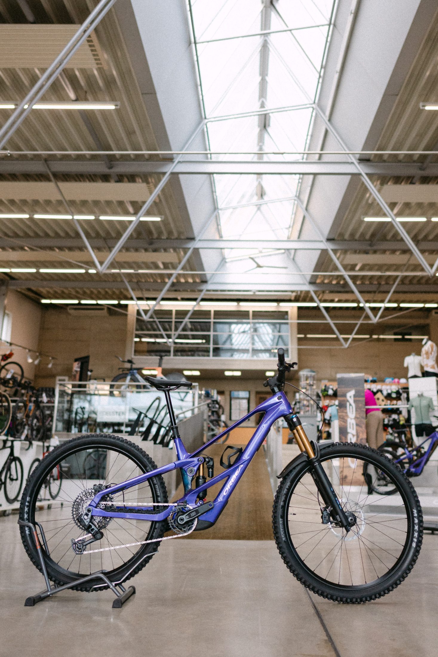 Orbea Wild LT M-Team RS in Royal Plum bei Radsport Kotnik